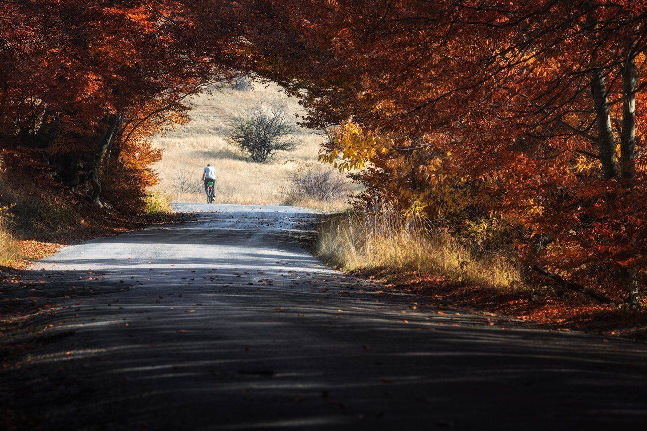 , Денис Сорокин