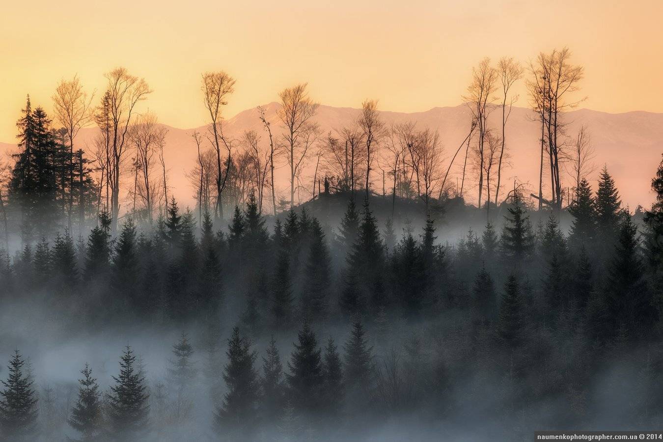 высокие,	горы,	лес,	осень, пейзаж,	рассвет,	словакия, татры,	туман, Александр Науменко