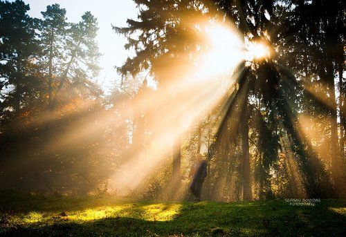 From the heart of the light