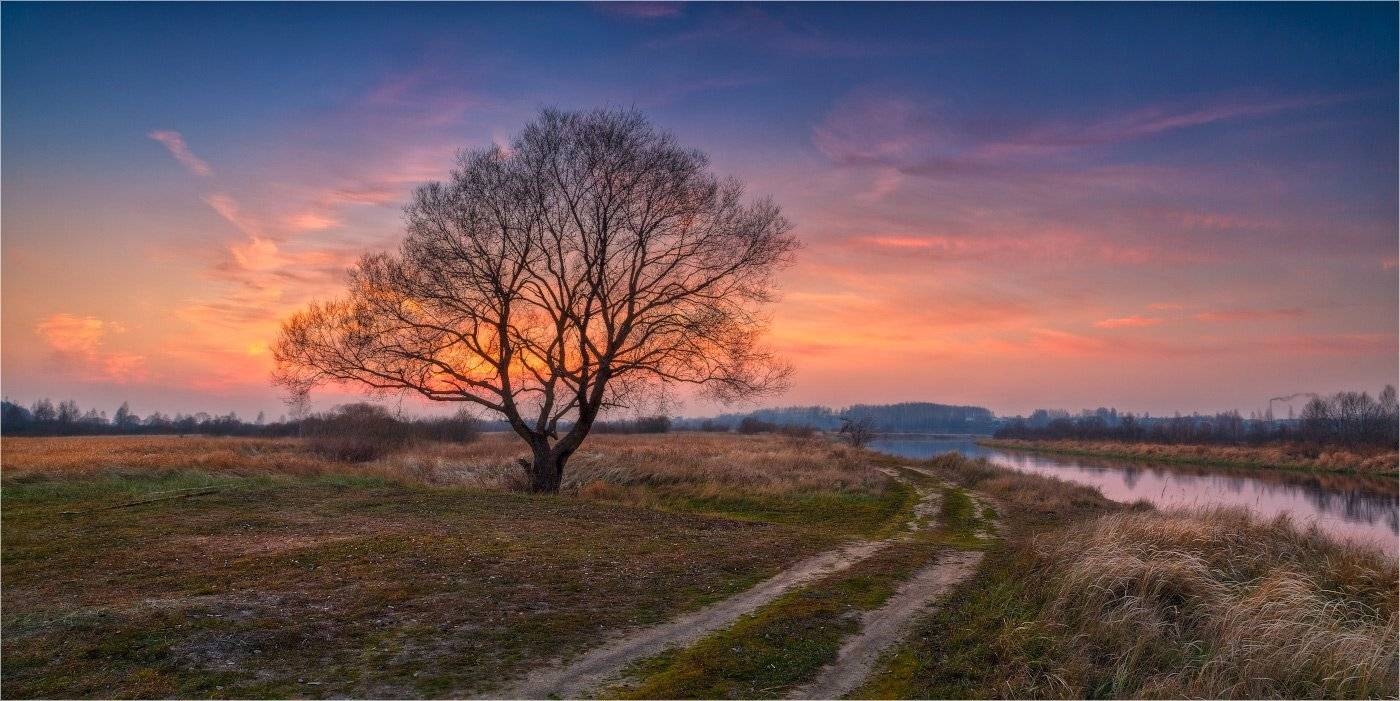 Дерево, Дорога, Закат, Луг, Октябрь, Река Березина, Михаил Кушнер
