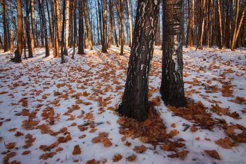Первый бой, он трудный самый!