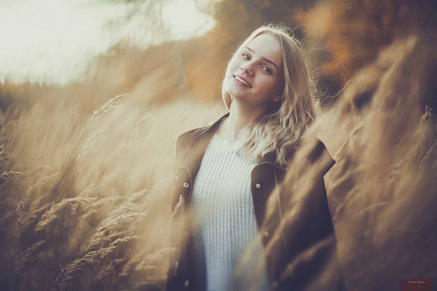 , Алексей Дивнич