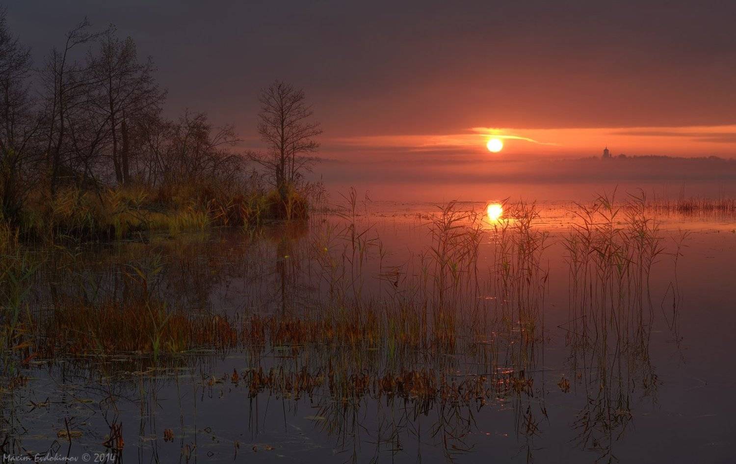 , Максим Евдокимов