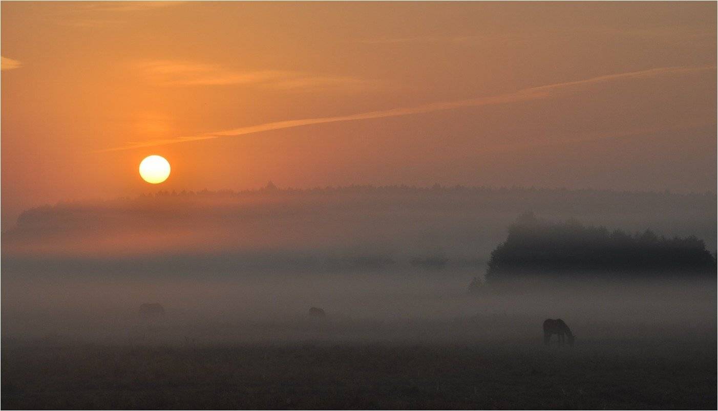 , Володимир Карчевський
