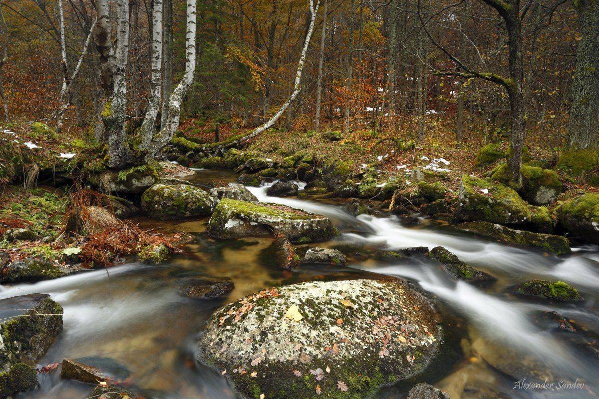 , Александър Сандев