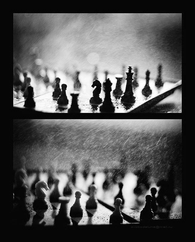 , Svoboda Andreeva