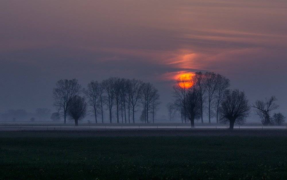 , Pawel Plucinski