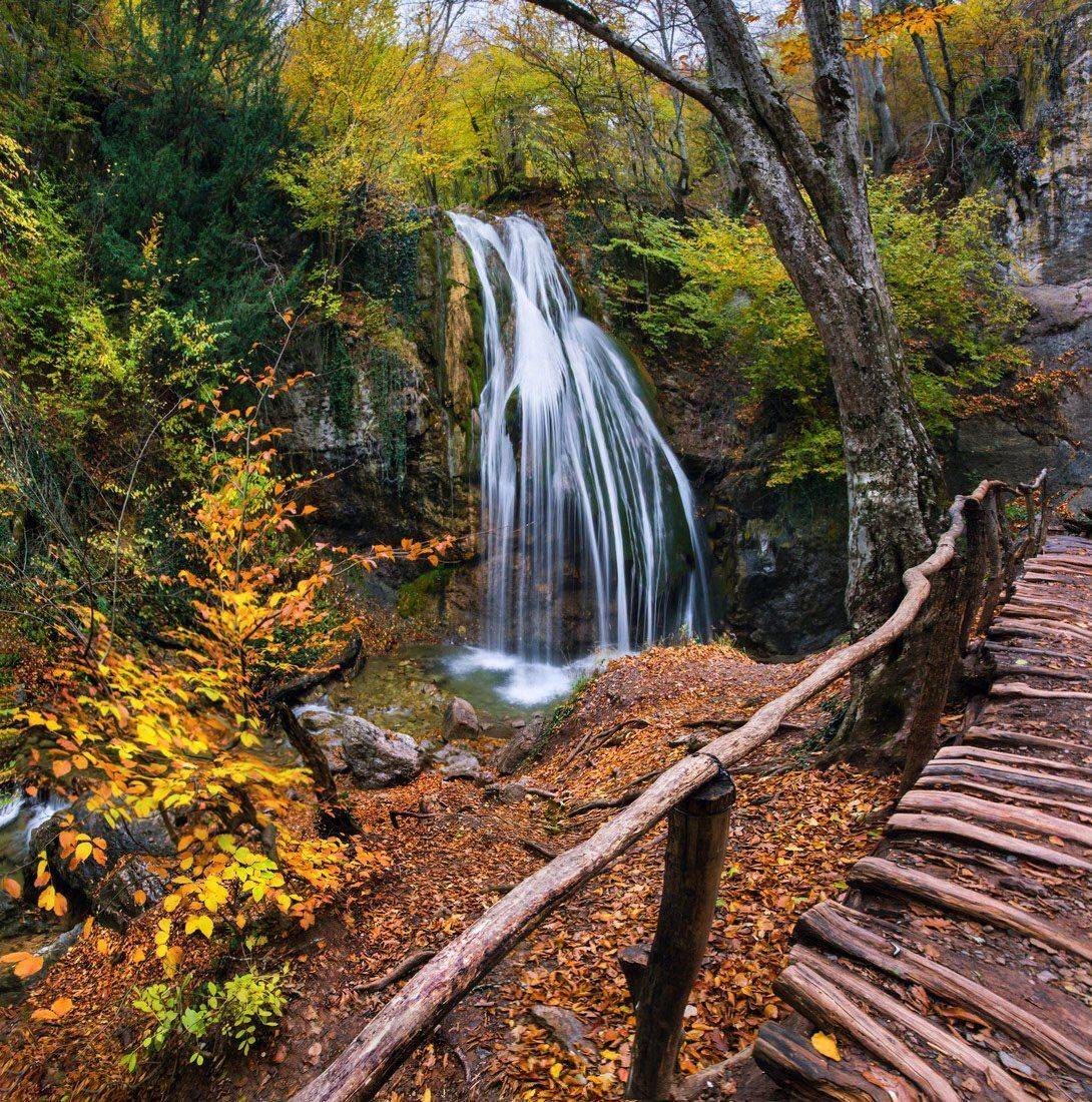 , Маркович Михаил