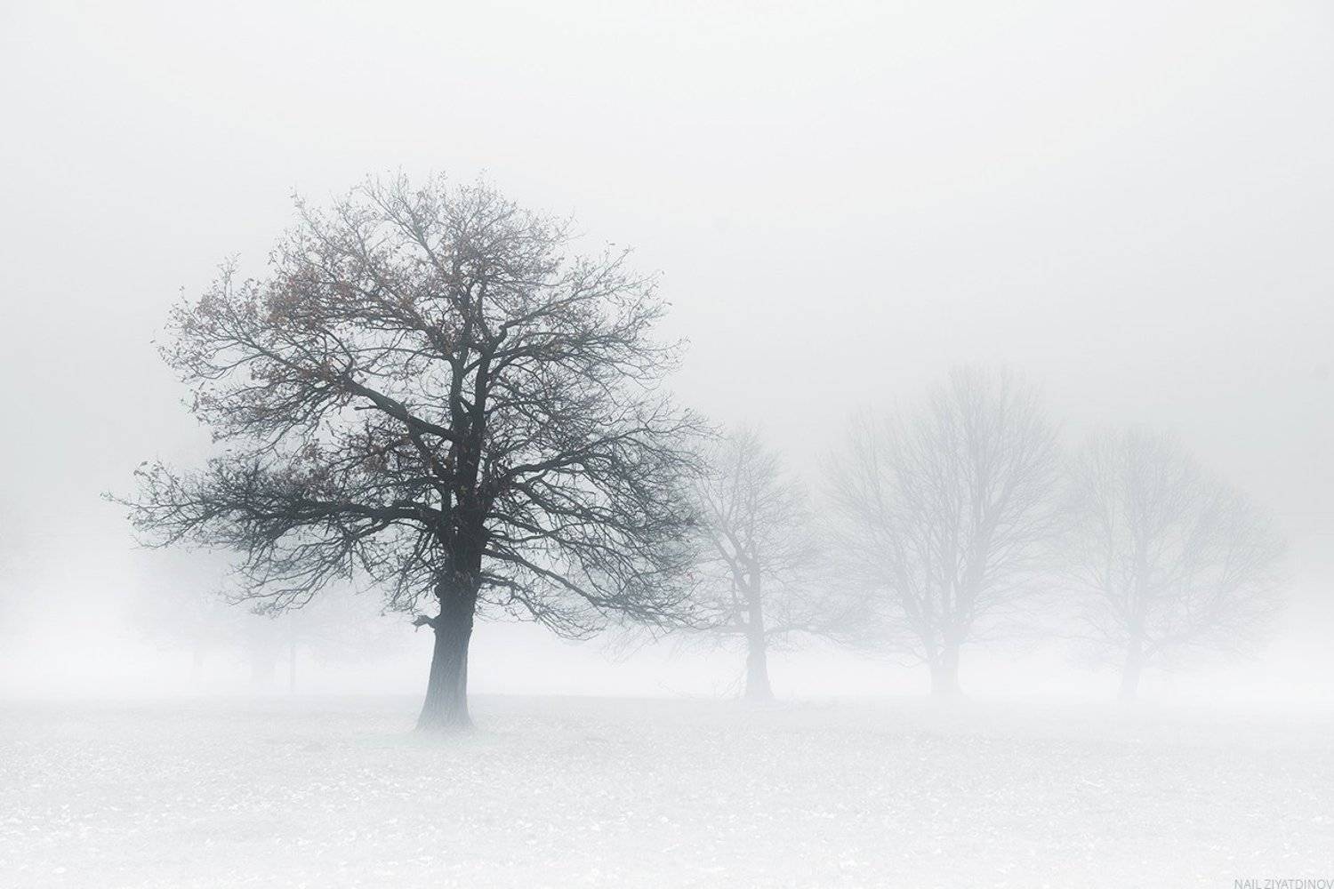 , Наиль Зоркий