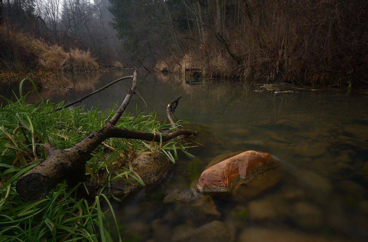 осень, природа, ручей, Алексей Никонов