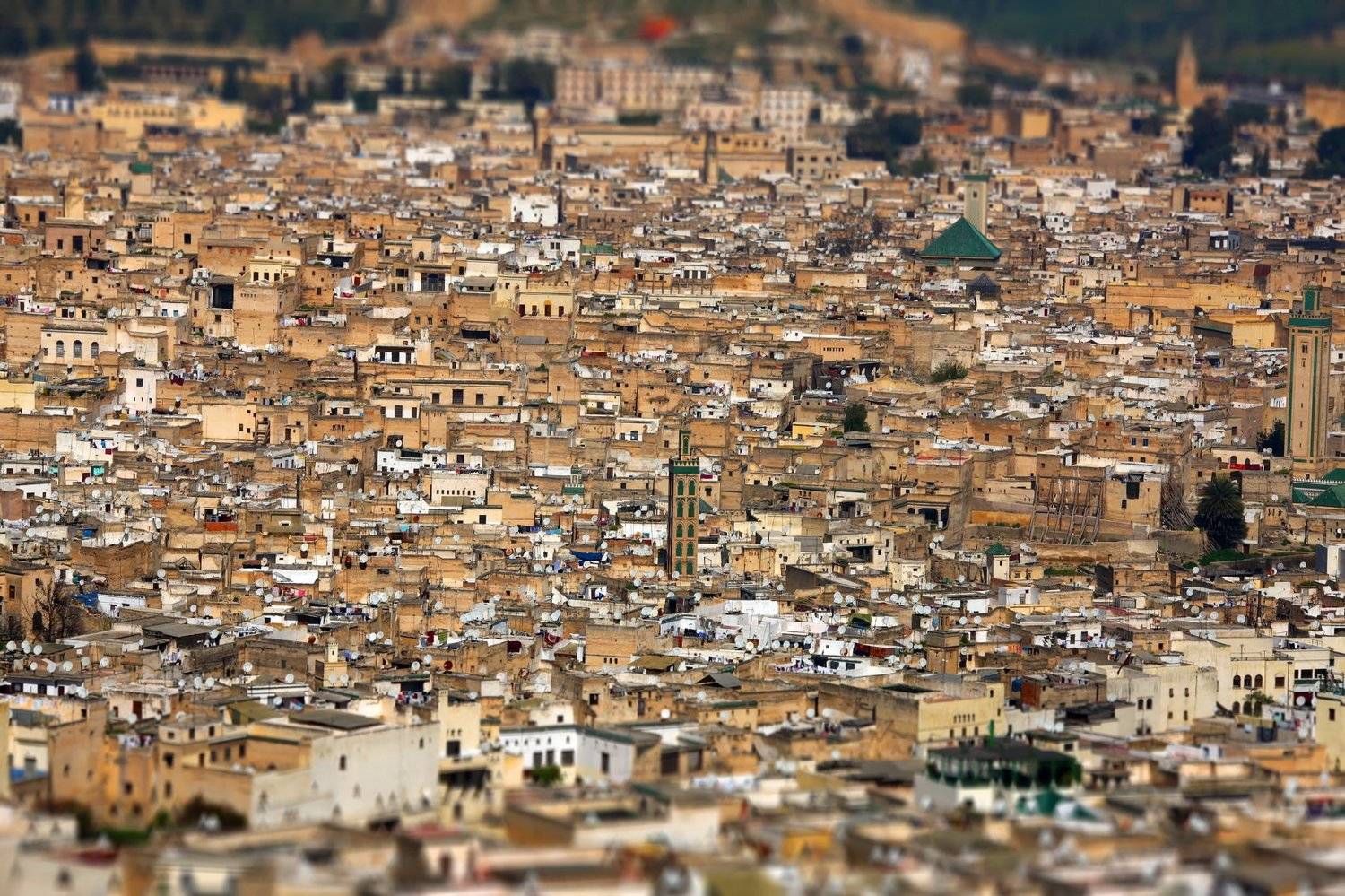 , Александр Перов