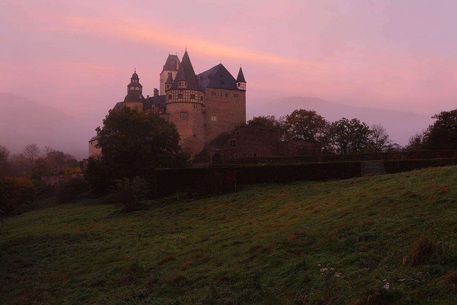 , Игорь Дубровский