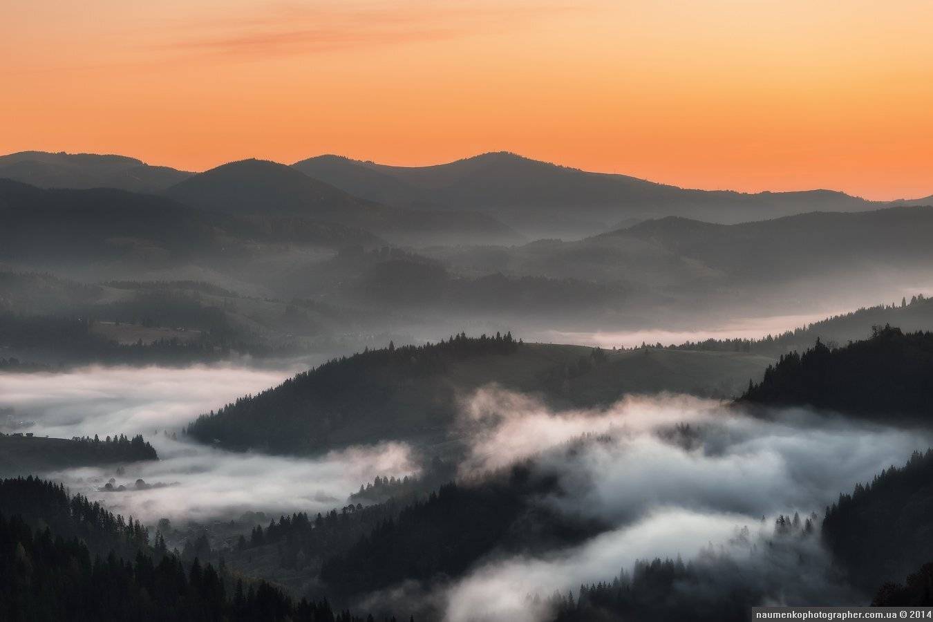 высокие,	горы,	лес,	осень, пейзаж,	рассвет,	словакия, татры,	туман, Александр Науменко