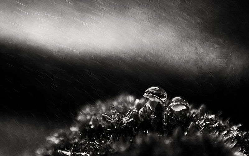 \\\\\\.. фото превью