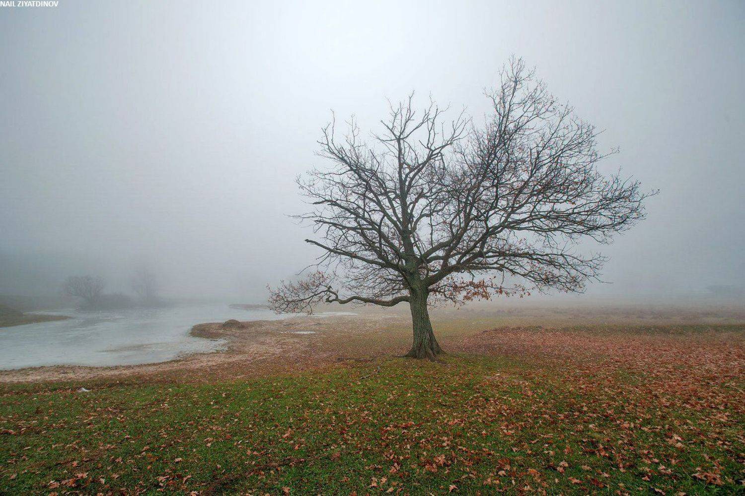 , Наиль Зоркий