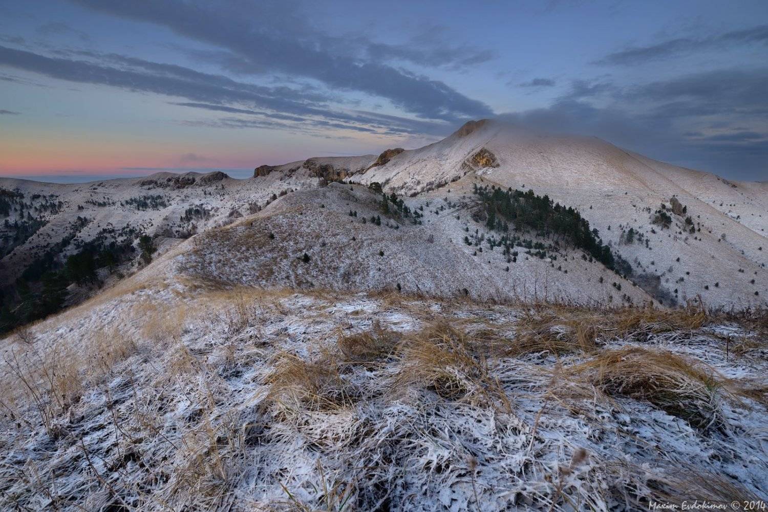 , Максим Евдокимов