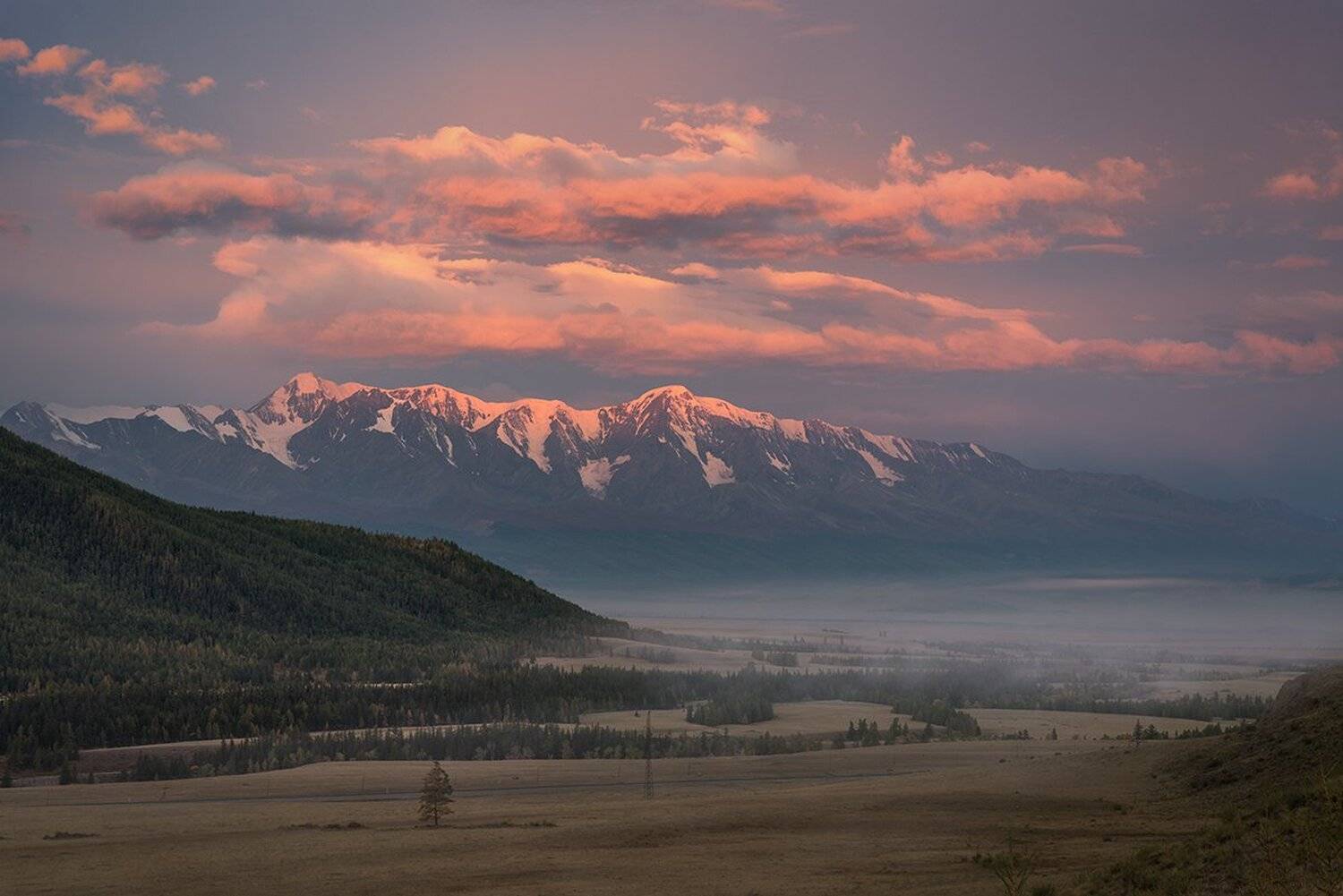 Алтай, Большой, Восход, Высокий, Голубой, Горы, Далекий, Красивый, Красный, Ледник, Небо, Облака, Пейзаж, Пик, Природа, Раннее, Рассвет, Розовый, Россия, Северо-чуйский, Сибирь, Синий, Снег, Степь, Туман, Утро, Хребет, Дмитрий Антипов