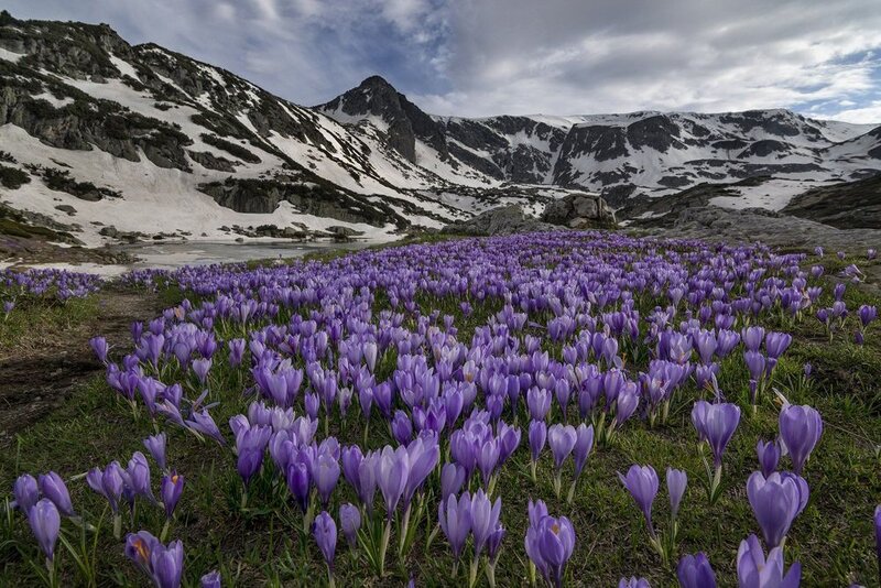Spring in Rila Mointain фото превью