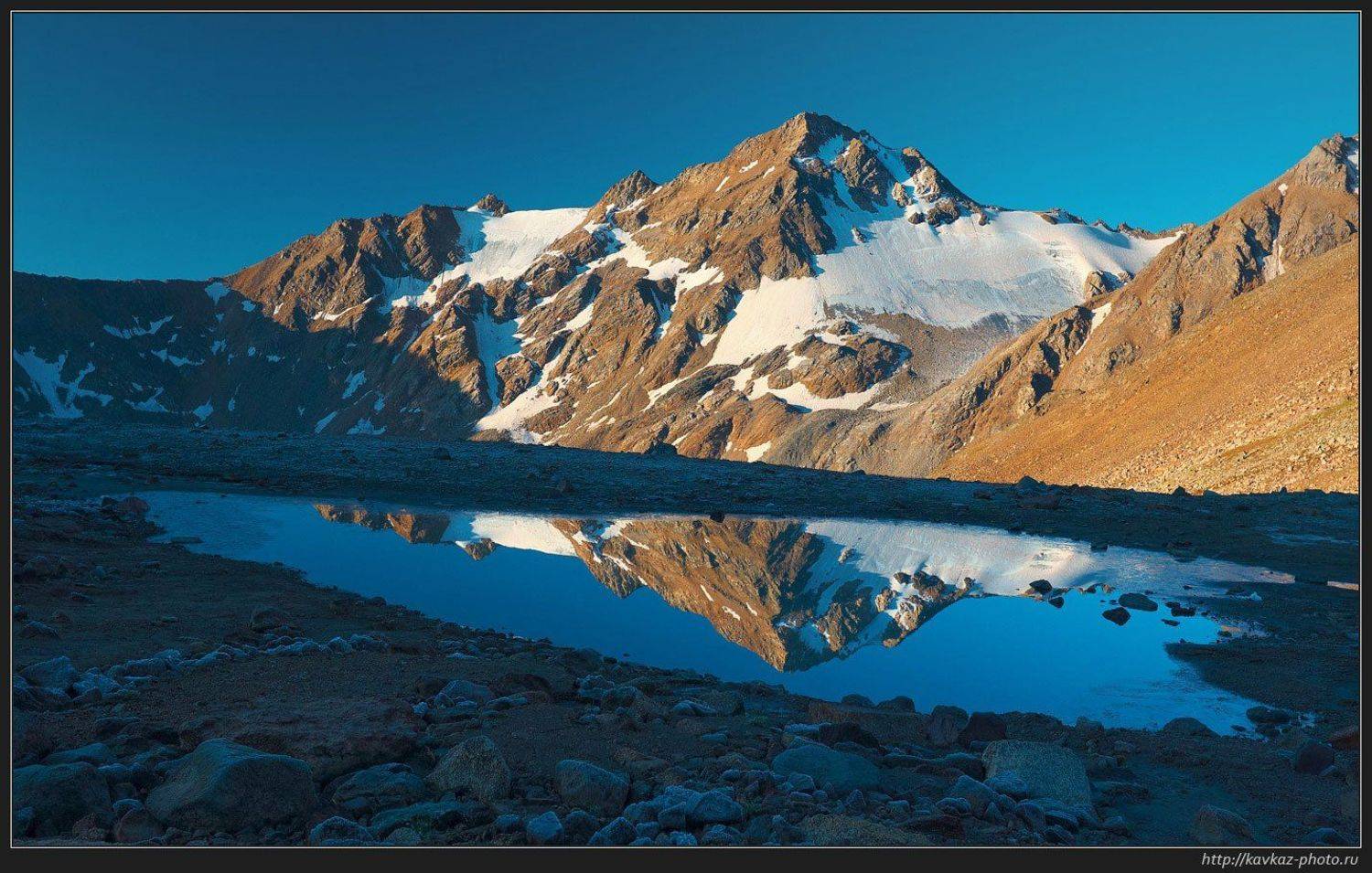 , Николай Стюбко