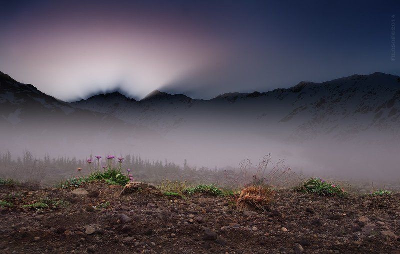 New Zealand misty morning... фото превью