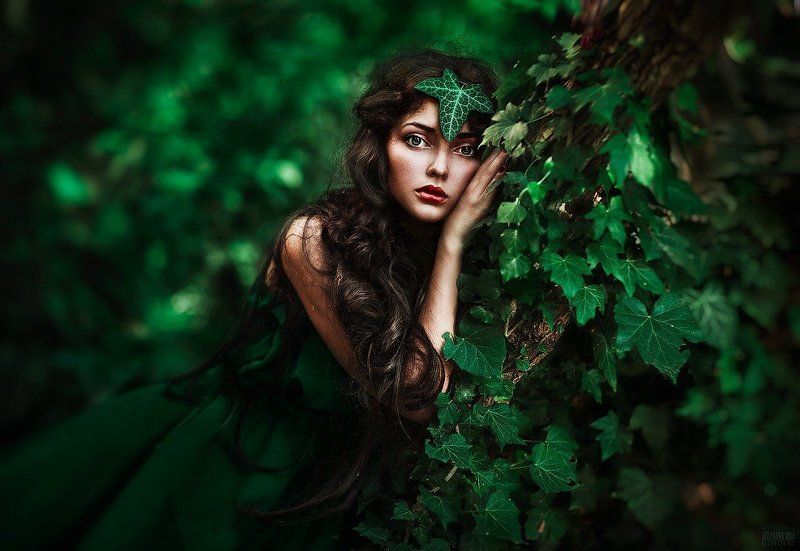 фото превью