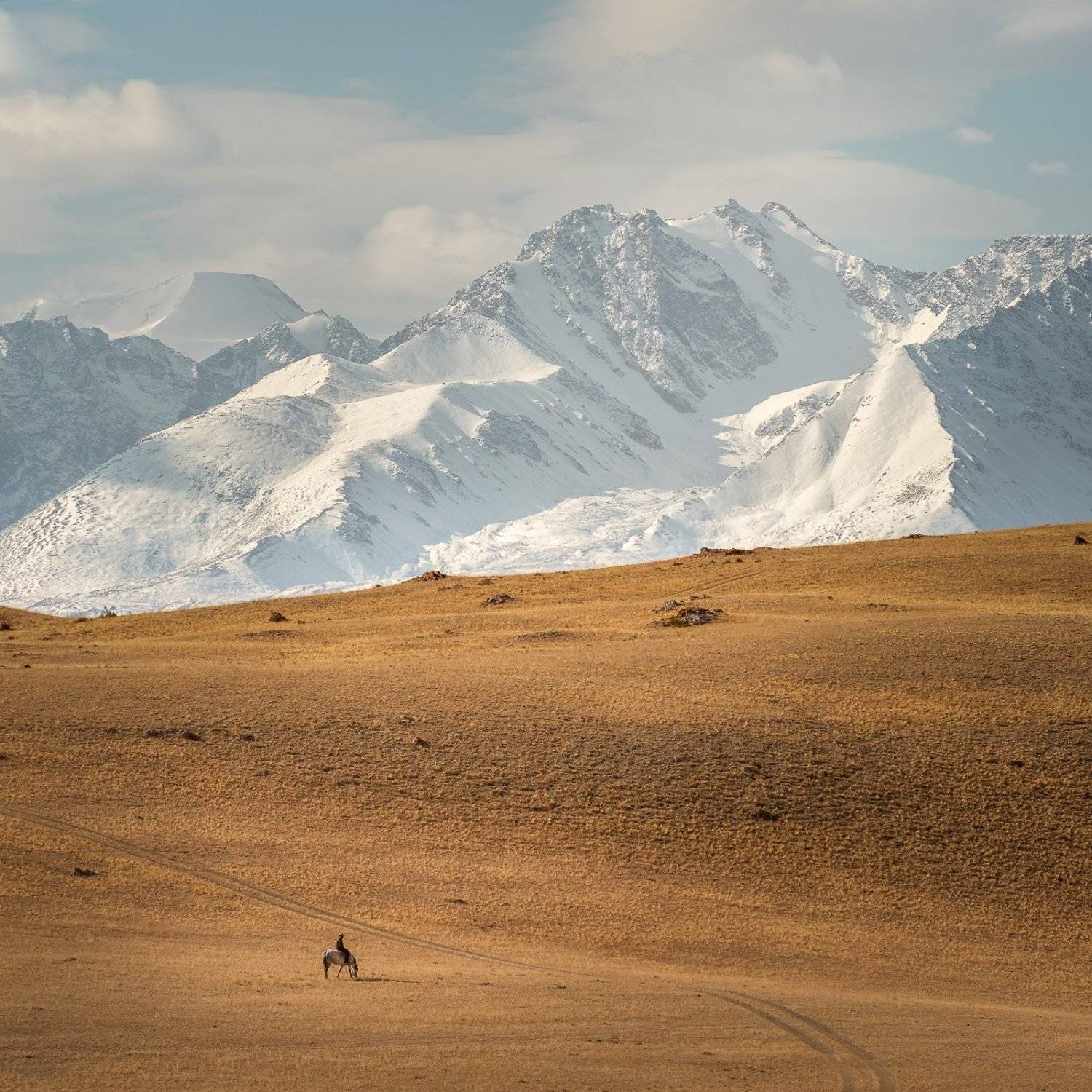 , Кочергин Дмитрий