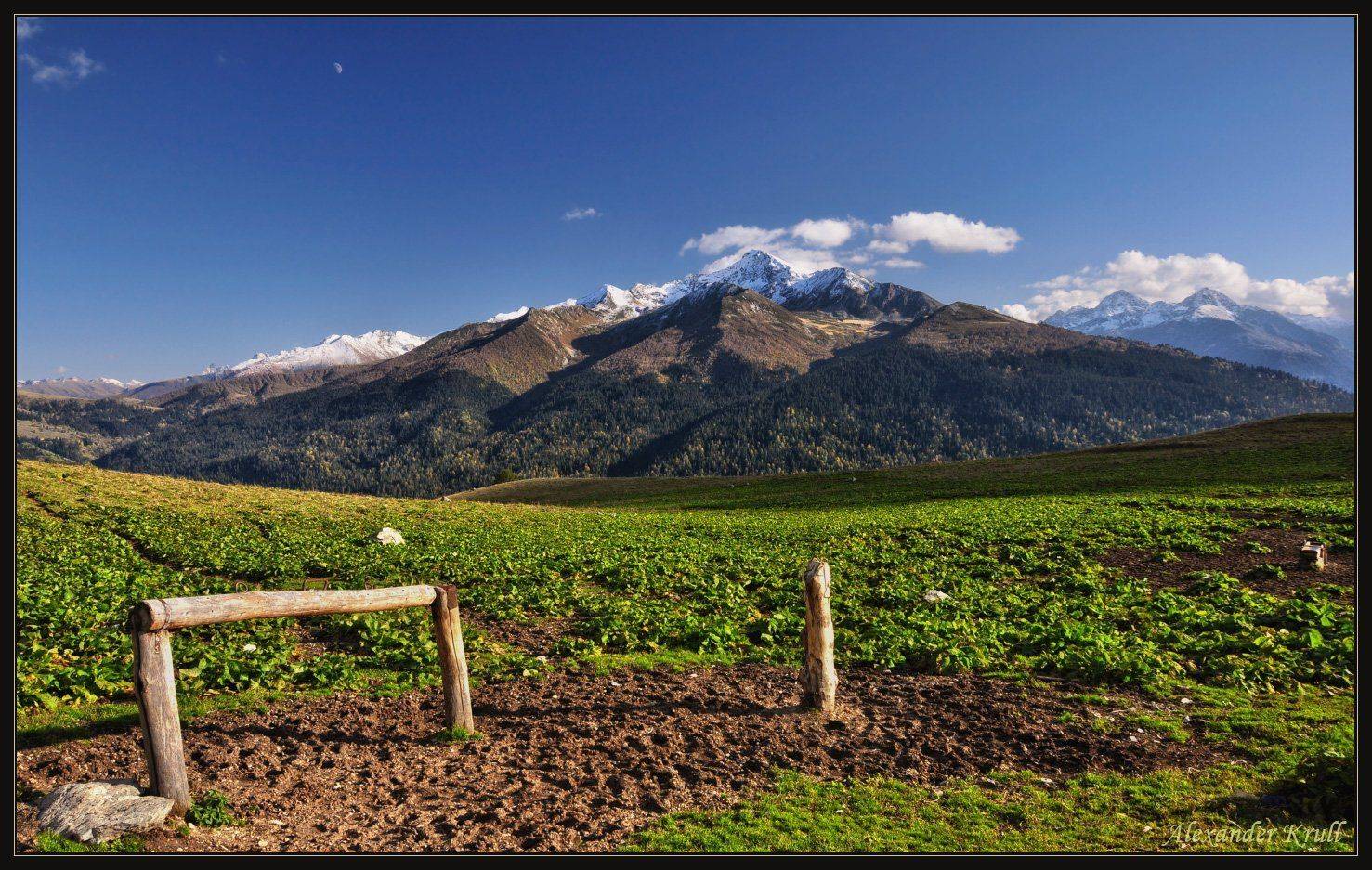 кавказ кчр, Александр Круль