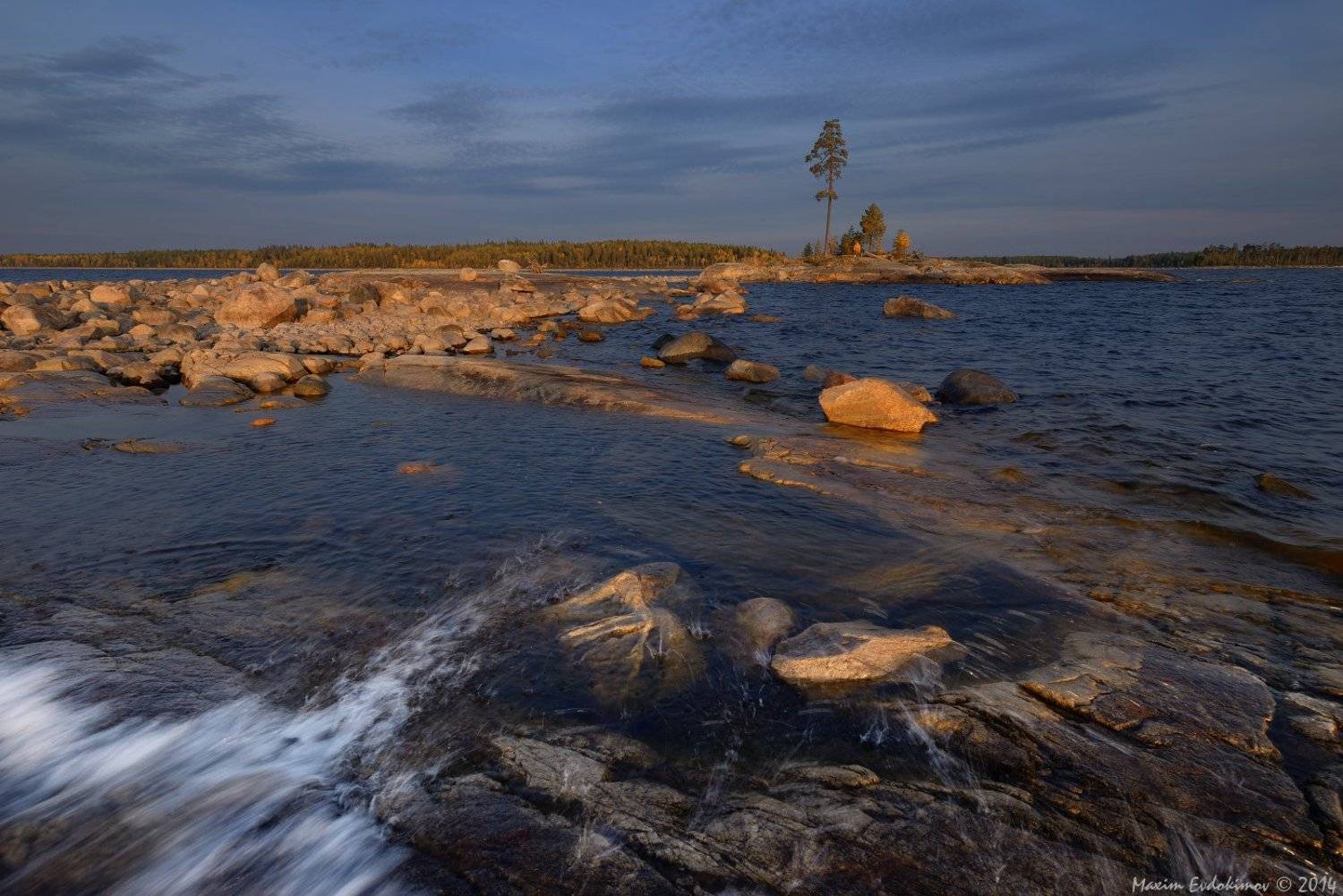 , Максим Евдокимов