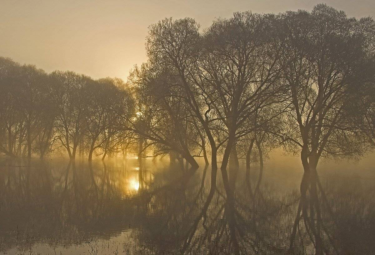 , Валерий Кондратов