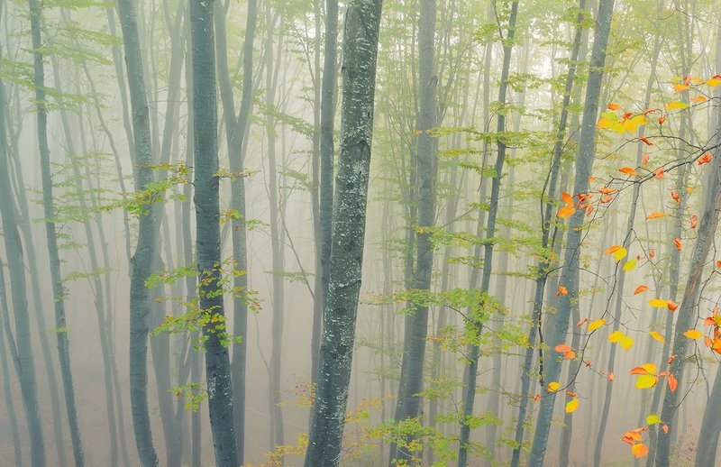 Осеннее настроение фото превью