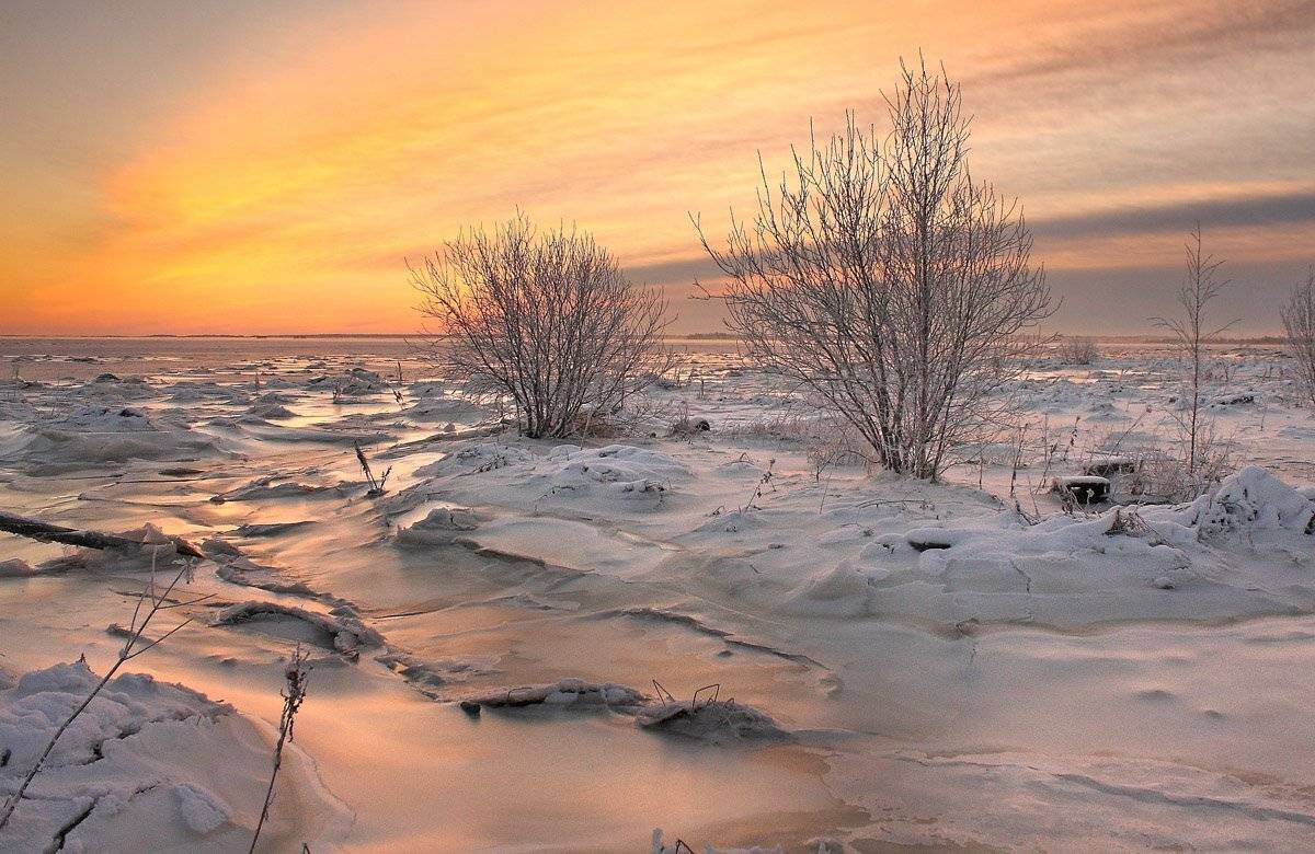 , Александр Коротков