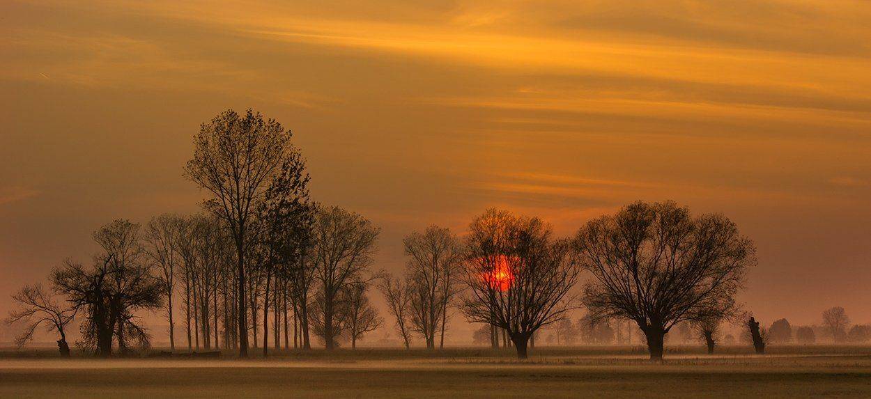 , Pawel Plucinski