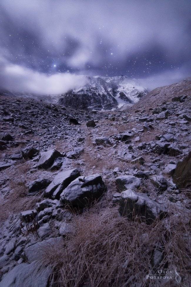 , Степаненко Ольга