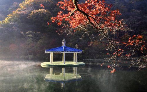 Oriental garden