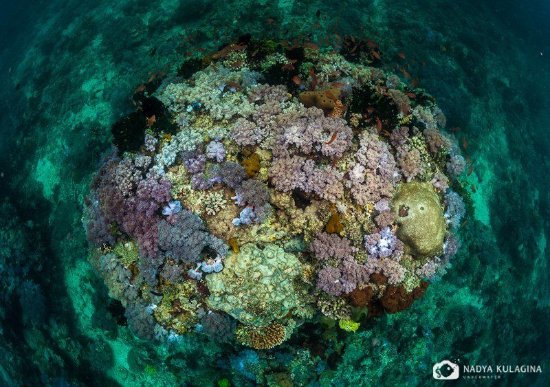 *** фото превью