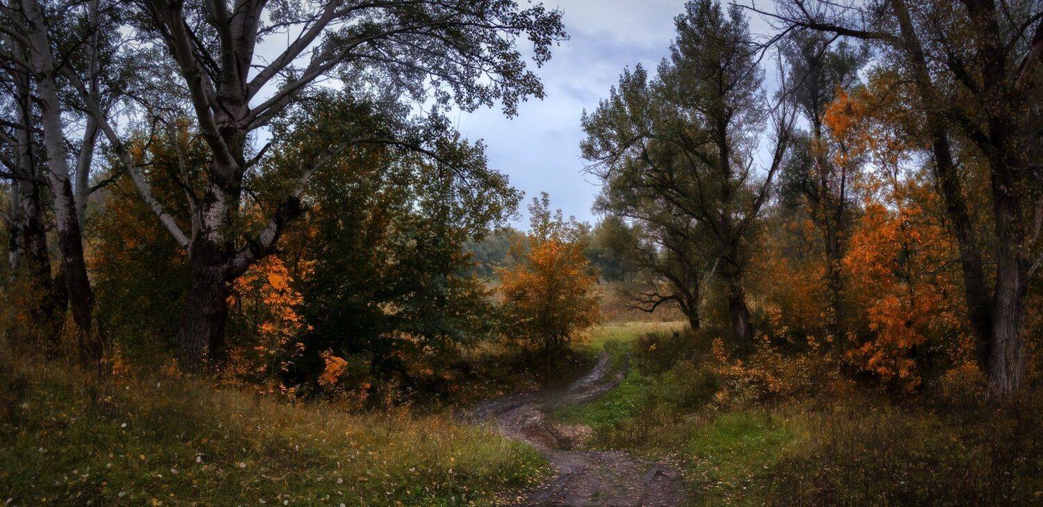 , Игорь Мелекесцев