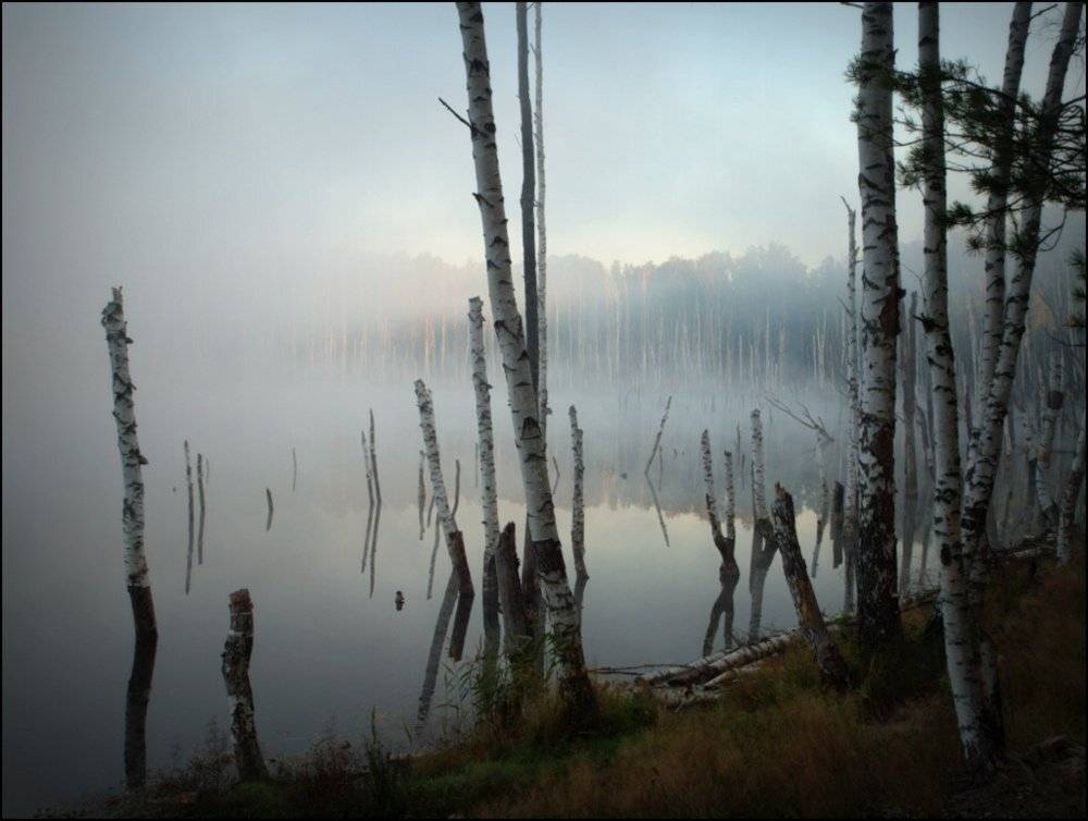 , михаил михаил