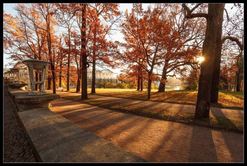 про_Свет Осени... фото превью