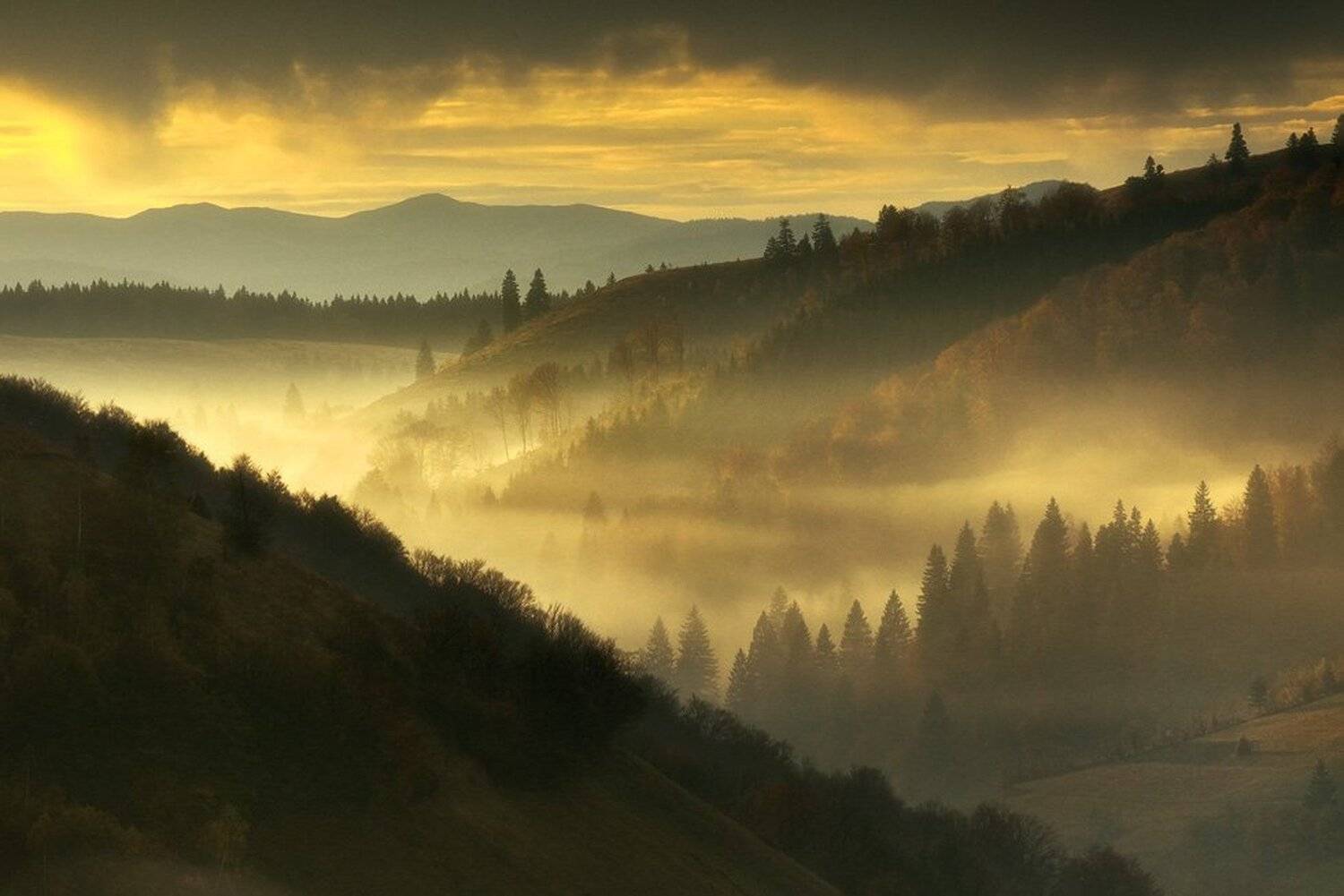 , Stefan Chirobocea