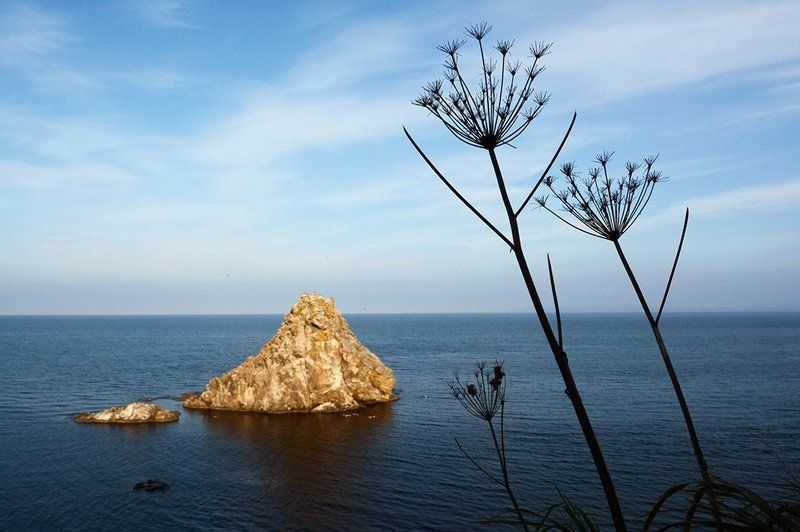 Мыс Грина фото превью