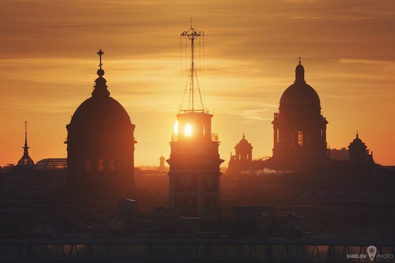 Солнечные силуэты фото превью