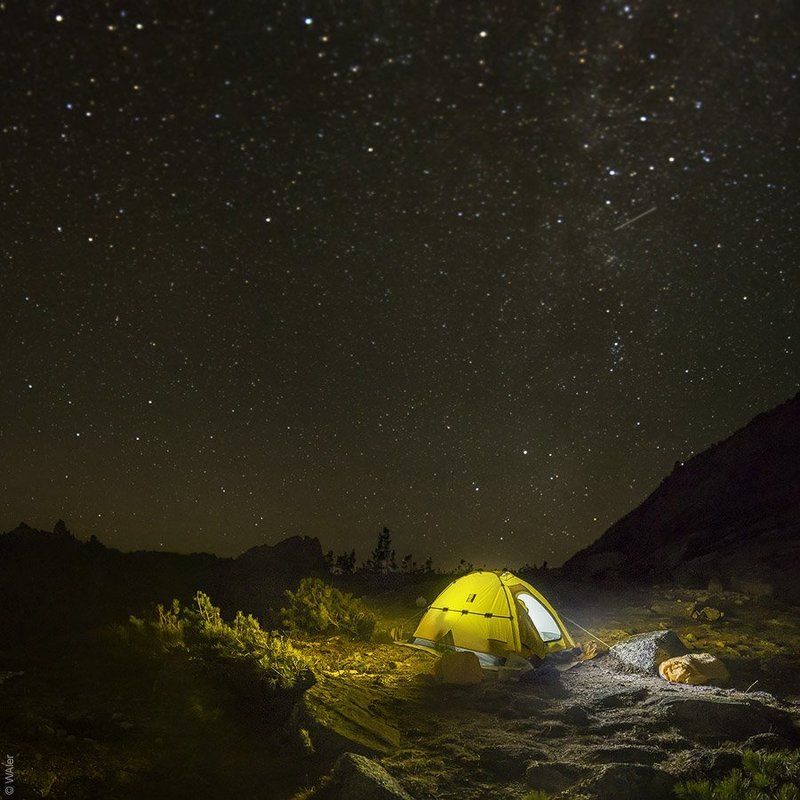 PRO желтую палатку фото превью