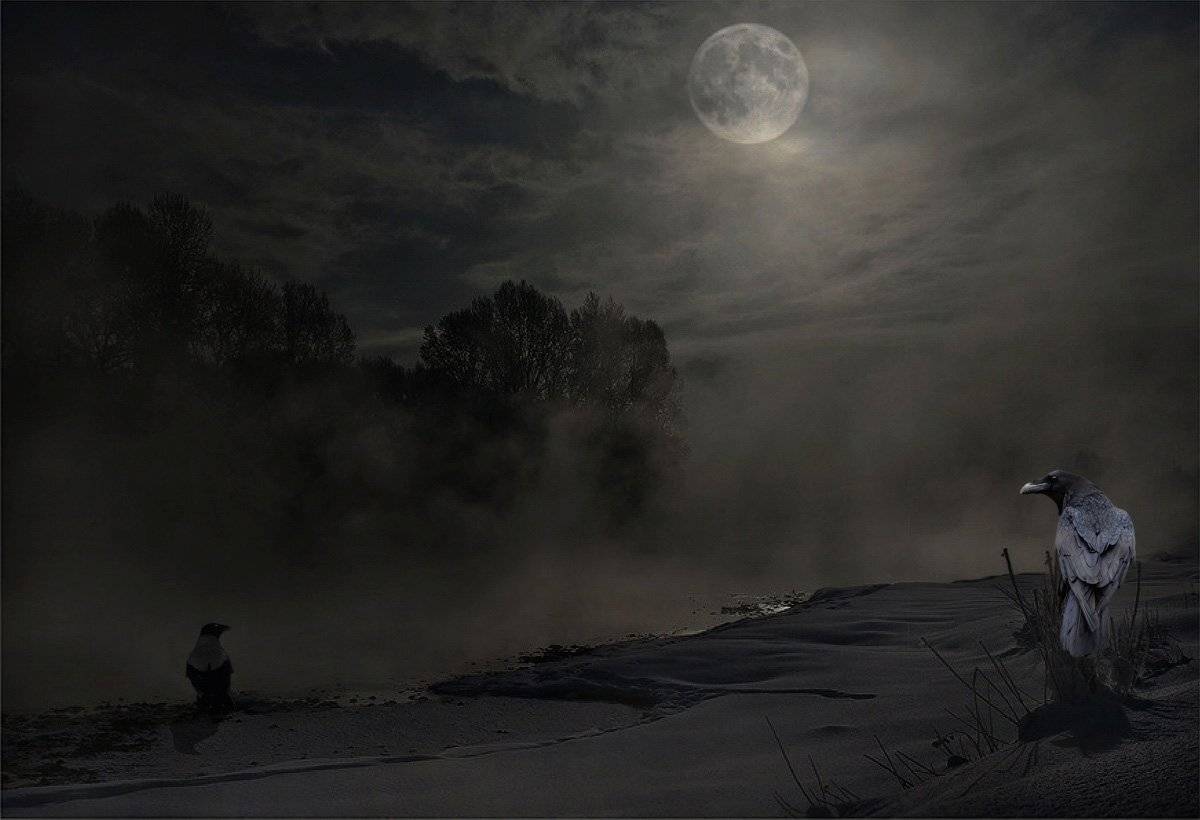 , Александр Гусаков