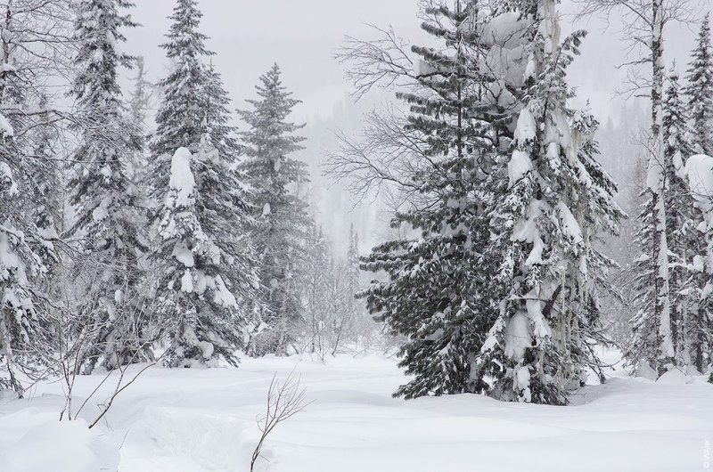 PRO Белое безмолвие (2 часть) ... фото превью