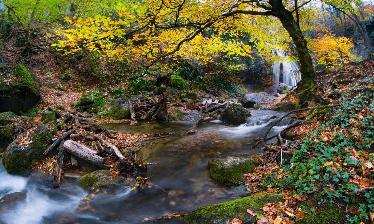 , Маркович Михаил