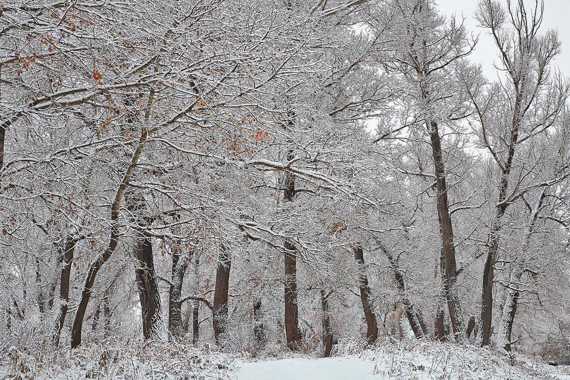 , Качурин Алексей