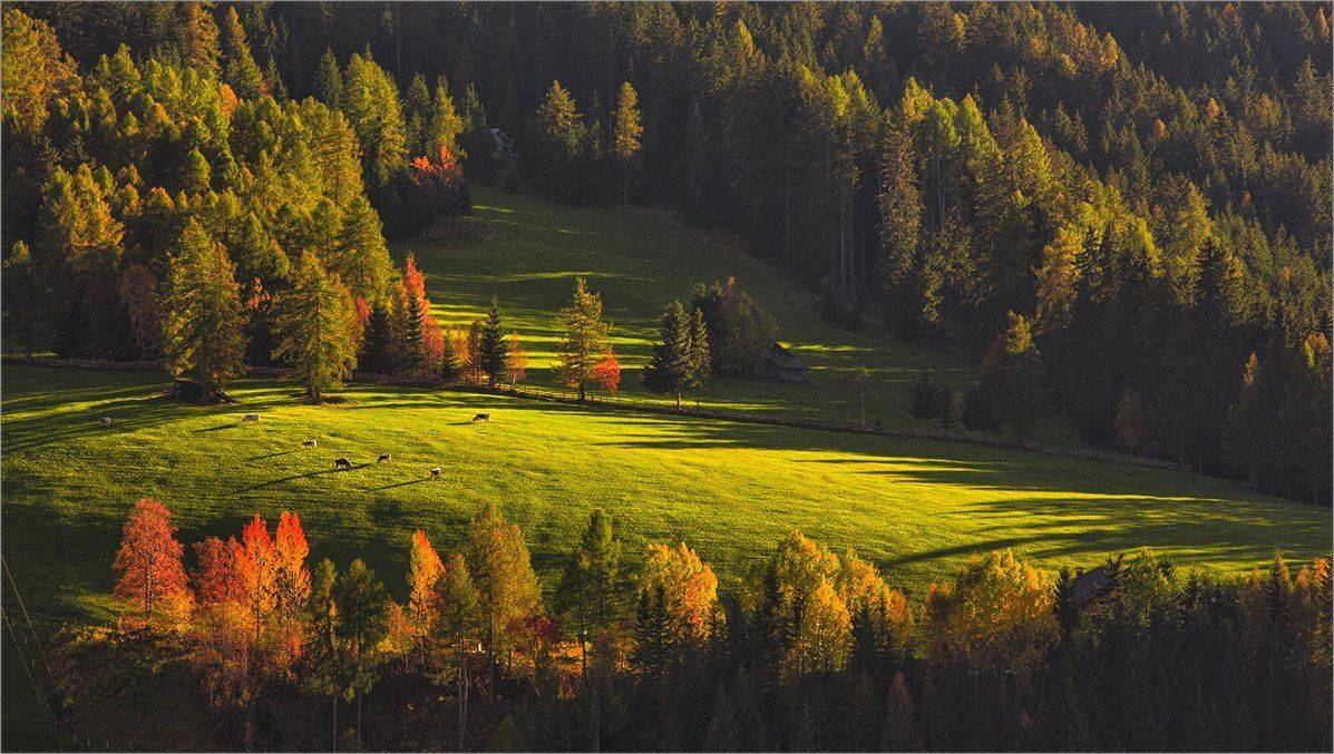 , Владимир K.