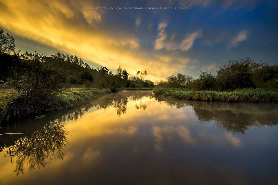 , Paulo Mendon&ccedil;a