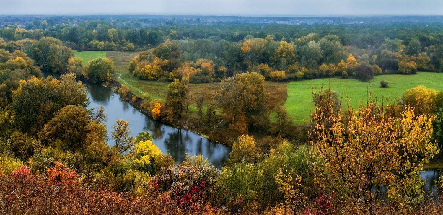 , Игорь Мелекесцев