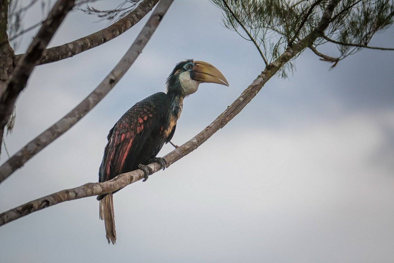 , Вилюнов Дмитрий